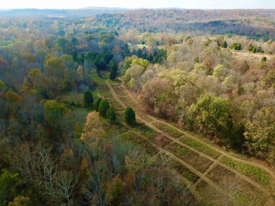 Paradise Bordering Hoosier National & Little Blue River - image 12