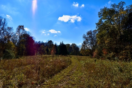 Paradise Bordering Hoosier National & Little Blue River - image 39