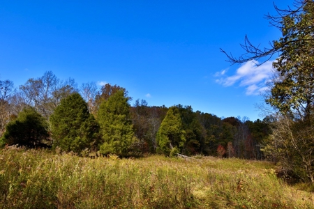Paradise Bordering Hoosier National & Little Blue River - image 45
