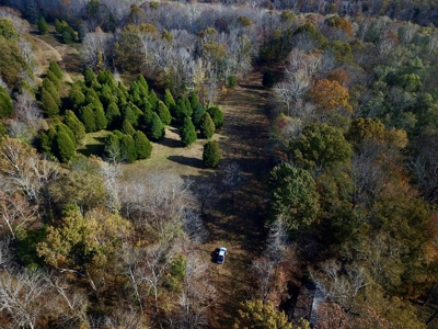 Paradise Bordering Hoosier National & Little Blue River - image 2