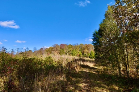 Paradise Bordering Hoosier National & Little Blue River - image 31