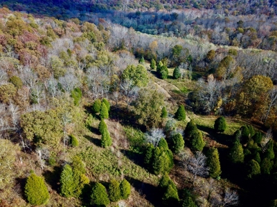 Paradise Bordering Hoosier National & Little Blue River - image 3
