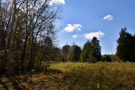 Paradise Bordering Hoosier National & Little Blue River - image 41