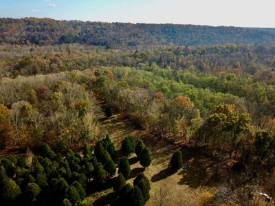 Paradise Bordering Hoosier National & Little Blue River - image 4