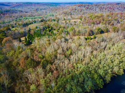 Paradise Bordering Hoosier National & Little Blue River - image 15