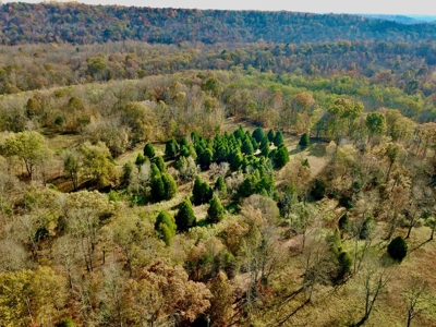 Paradise Bordering Hoosier National & Little Blue River - image 8