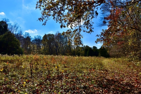 Paradise Bordering Hoosier National & Little Blue River - image 38