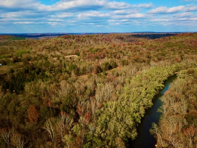 Paradise Bordering Hoosier National & Little Blue River - image 19