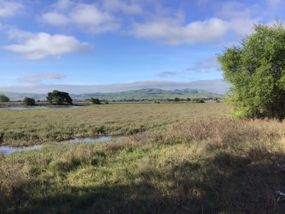 14+/- acre Vacant Parcel For Sale in Fairfield, California - image 11