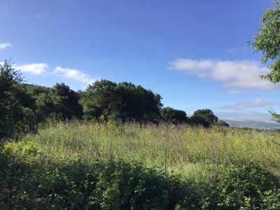 14+/- acre Vacant Parcel For Sale in Fairfield, California - image 6