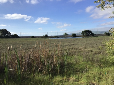 14+/- acre Vacant Parcel For Sale in Fairfield, California - image 14
