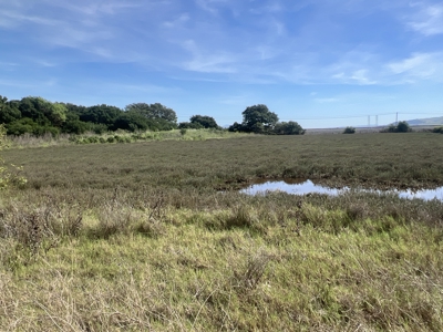 14+/- acre Vacant Parcel For Sale in Fairfield, California - image 12