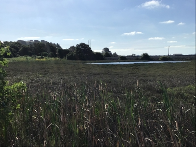 14+/- acre Vacant Parcel For Sale in Fairfield, California - image 15