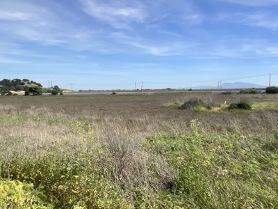 14+/- acre Vacant Parcel For Sale in Fairfield, California - image 1