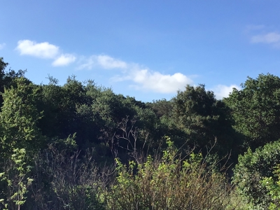 14+/- acre Vacant Parcel For Sale in Fairfield, California - image 8