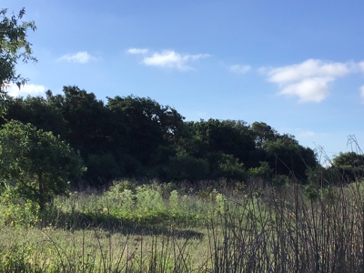 14+/- acre Vacant Parcel For Sale in Fairfield, California - image 9