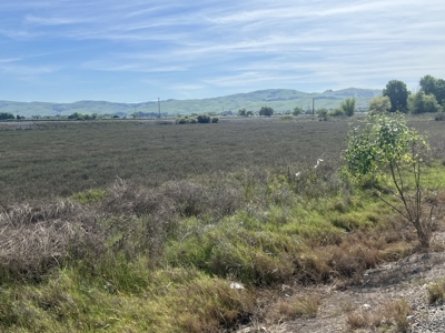 14+/- acre Vacant Parcel For Sale in Fairfield, California - image 2