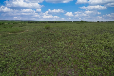 Excellent Hunting Property for Sale in Childress County, TX - image 28