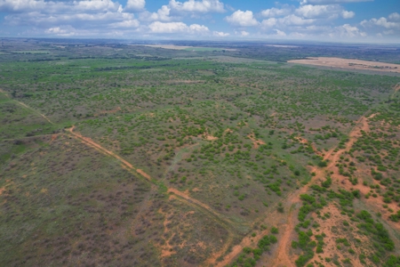 Excellent Hunting Property for Sale in Childress County, TX - image 43