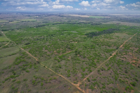 Excellent Hunting Property for Sale in Childress County, TX - image 7