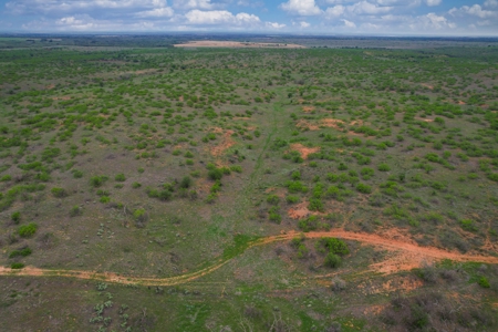 Excellent Hunting Property for Sale in Childress County, TX - image 2
