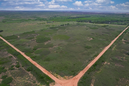 Excellent Hunting Property for Sale in Childress County, TX - image 25