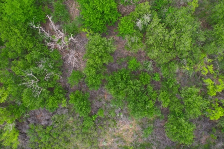 Excellent Hunting Property for Sale in Childress County, TX - image 15