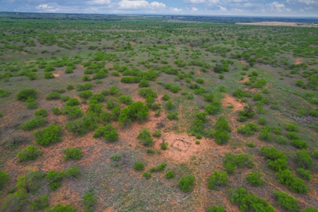 Excellent Hunting Property for Sale in Childress County, TX - image 45