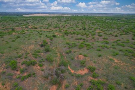 Excellent Hunting Property for Sale in Childress County, TX - image 1