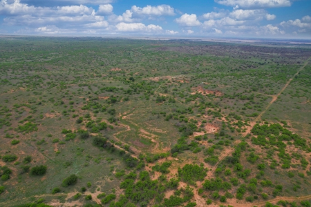 Excellent Hunting Property for Sale in Childress County, TX - image 39