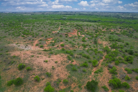 Excellent Hunting Property for Sale in Childress County, TX - image 3