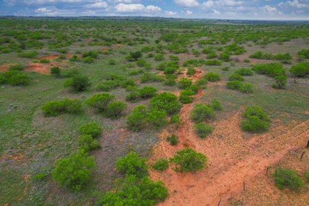 Excellent Hunting Property for Sale in Childress County, TX - image 44