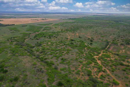 Excellent Hunting Property for Sale in Childress County, TX - image 38