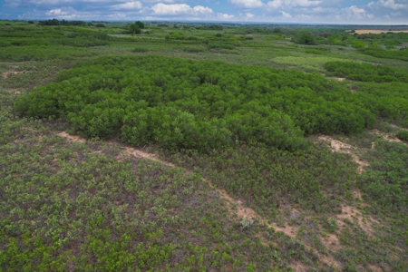 Excellent Hunting Property for Sale in Childress County, TX - image 29