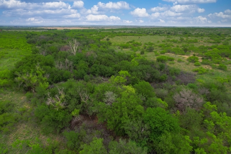 Excellent Hunting Property for Sale in Childress County, TX - image 14