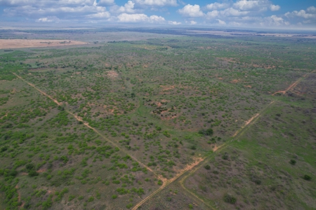 Excellent Hunting Property for Sale in Childress County, TX - image 6