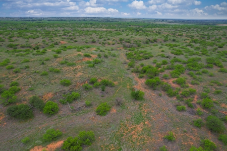 Excellent Hunting Property for Sale in Childress County, TX - image 46