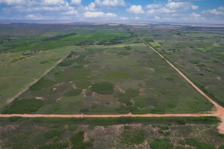 Excellent Hunting Property for Sale in Childress County, TX - image 26