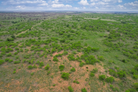 Excellent Hunting Property for Sale in Childress County, TX - image 16