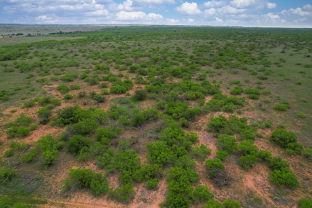 Excellent Hunting Property for Sale in Childress County, TX - image 40