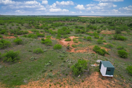 Excellent Hunting Property for Sale in Childress County, TX - image 5