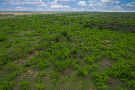Excellent Hunting Property for Sale in Childress County, TX - image 9