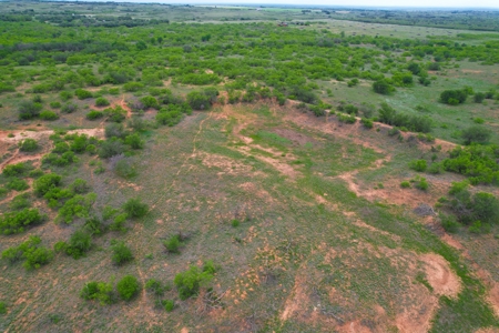 Excellent Hunting Property for Sale in Childress County, TX - image 4