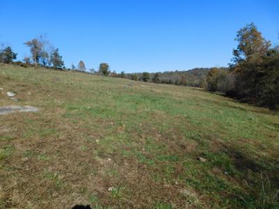 Farm Pasture Land With Springs, Marion County, Ar For Sale - image 8