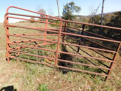 Farm Pasture Land With Springs, Marion County, Ar For Sale - image 9