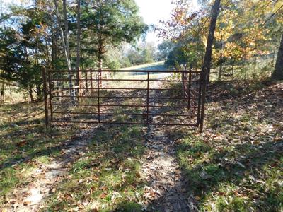 Farm Pasture Land With Springs, Marion County, Ar For Sale - image 15