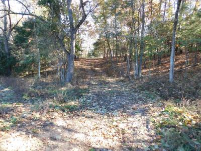 Farm Pasture Land With Springs, Marion County, Ar For Sale - image 12