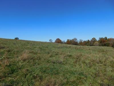 Farm Pasture Land With Springs, Marion County, Ar For Sale - image 10