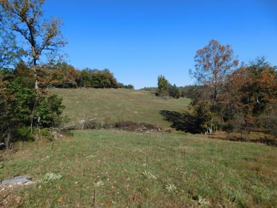 Farm Pasture Land With Springs, Marion County, Ar For Sale - image 7