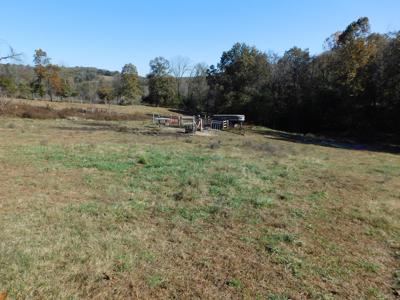 Farm Pasture Land With Springs, Marion County, Ar For Sale - image 11